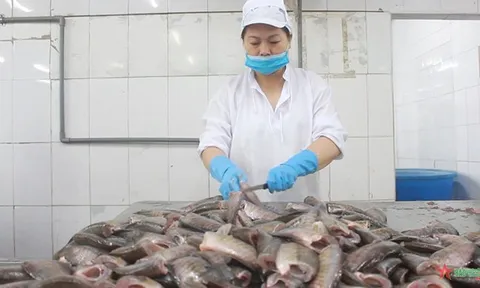 Cần nhiều chính sách hỗ trợ cho doanh nghiệp phục hồi