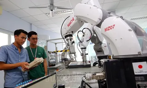 Nhu cầu nhân lực ngành công nghệ thông tin vẫn tăng cao