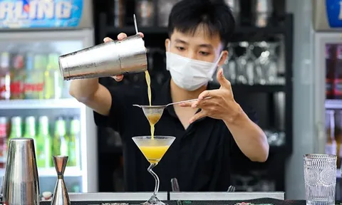Dự định làm việc xuyên Tết