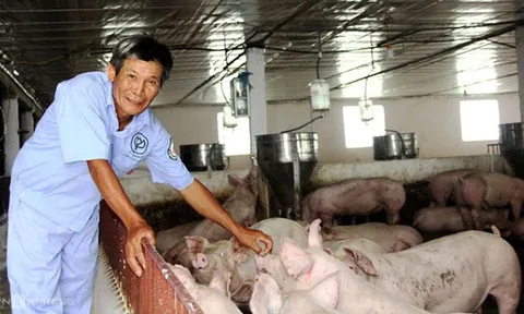 Lão nông 'bắt đồng hoang đẻ ra tiền'