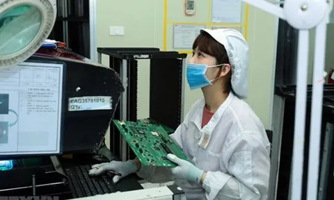 Bài toán nhân lực chất lượng cao cho Đồng bằng sông Cửu Long