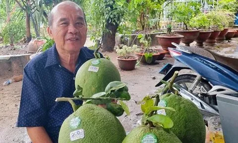 "Trái ngọt" của những người nông dân Việt Nam xuất sắc giữa đại dịch