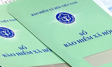 Vì sao nợ đóng BHXH ở TP.HCM lên đến hơn 3.075 tỉ đồng?
