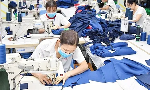 TP Hồ Chí Minh: 41,8 % nữ công nhân may có thu nhập không đủ sống