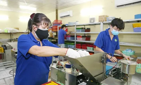 Trường hợp nào người lao động không được nhận bảo hiểm xã hội một lần