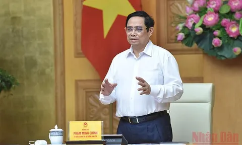 Triển khai quyết liệt, hiệu quả Chương trình phục hồi và phát triển kinh tế-xã hội