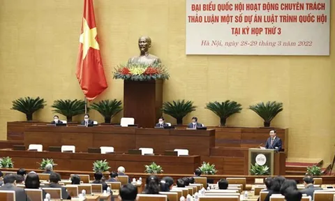 Quốc hội thảo luận về sở hữu trí tuệ, có liên quan Quốc kỳ, Quốc ca
