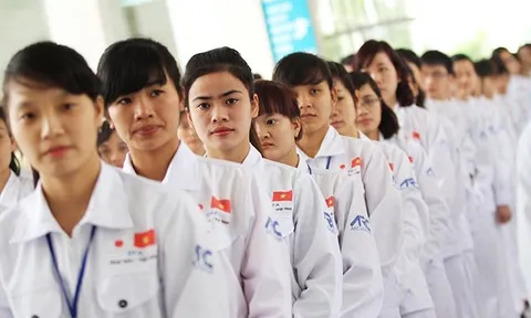 Tuyển 160 điều dưỡng đi học tập và làm việc tại Đức