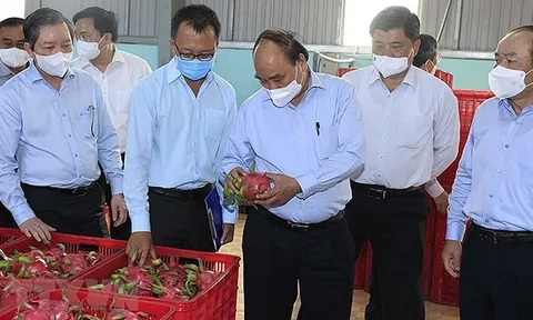Chủ tịch nước Nguyễn Xuân Phúc: Huy động sức mạnh tổng hợp trong phát triển kinh tế tập thể ở Tiền Giang