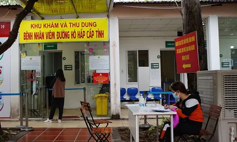 Việt Nam đã qua đỉnh dịch, ổn định chu kỳ giảm ít nhất trong 2 tháng nữa