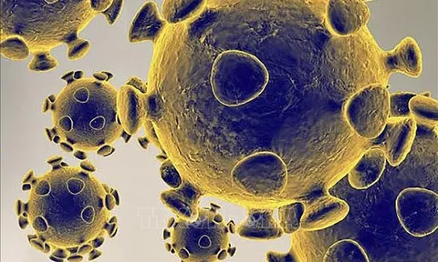 Sự 'biến hình' khó lường của virus SARS-CoV-2