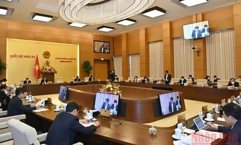 Tránh chồng chéo trong hoạt động thanh tra, kiểm tra, kiểm toán