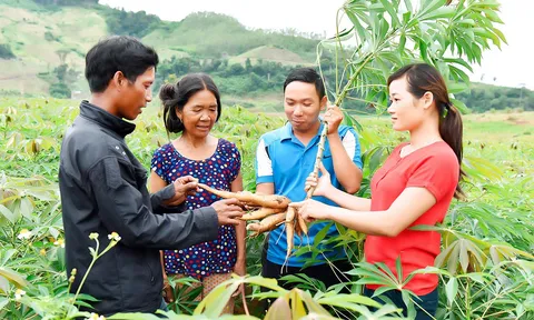 Phân bổ hơn 92.000 tỷ đồng cho 3 chương trình mục tiêu quốc gia