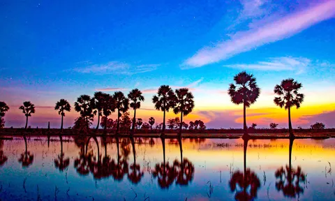 Đẹp nao lòng sắc màu 'xứ sở thốt nốt'