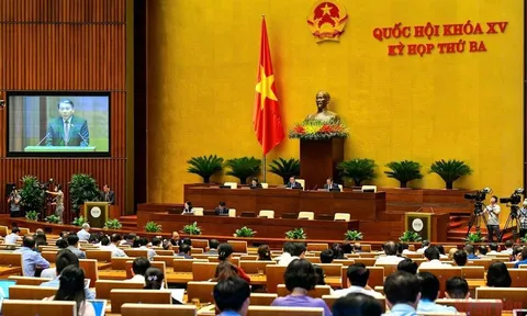 Ưu tiên bảo vệ, hỗ trợ người yếu thế là nạn nhân bạo lực gia đình