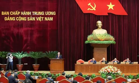 Tổ chức bộ máy Ban chỉ đạo phòng, chống tham nhũng, tiêu cực cấp tỉnh