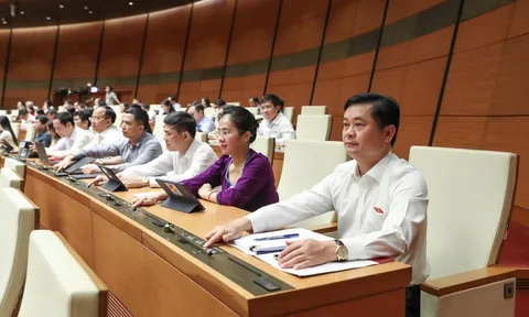 Quốc hội lập đoàn giám sát việc huy động nguồn lực phòng chống Covid-19