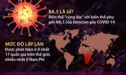 Biến thể phụ BA.5 của Omicron đã xâm nhập vào Việt Nam