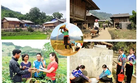 Đẩy mạnh hỗ trợ nhà ở, đất sản xuất cho hộ nghèo dân tộc thiểu số