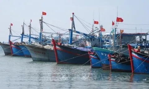 Giữ lao động biển để duy trì vươn khơi đánh bắt