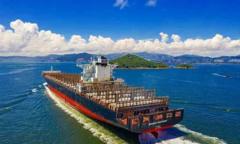 Máy bay QCHQ và 6 tàu lớn nước ngoài tham gia tìm kiếm thuyền viên Bình Thuận mất tích