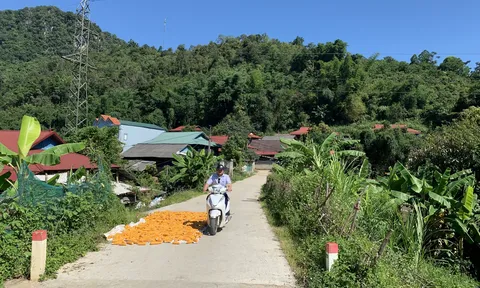 Thành công từ mô hình ﻿"con đường nhân ái" ở Chiềng Sinh, Điện Biên