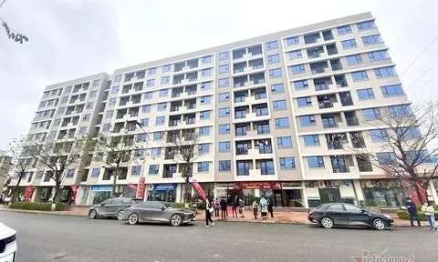 Lộ diện nơi xây 5 khu nhà xã hội quy mô lớn ở Hà Nội, dân nghèo rộng cửa mua nhà