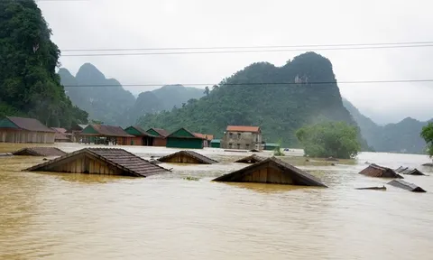 Chủ động ứng phó với áp thấp nhiệt đới