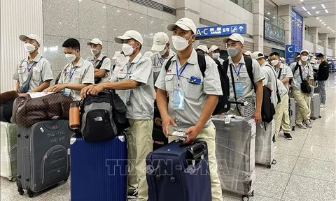 Những lưu ý không mắc bẫy ‘việc nhẹ, lương cao’ khi đi lao động tại nước ngoài