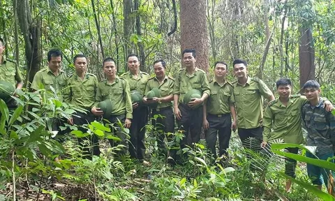 Hướng đi mới phát triển kinh tế lâm nghiệp hiện đại, bền vững ở Mường Nhé