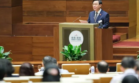 Tạo lập khuôn khổ pháp lý cho các hoạt động của đất nước