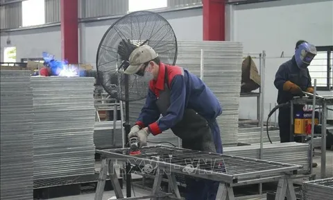 Đẩy mạnh giải pháp hỗ trợ, giải quyết việc làm cho người lao động sau dịch COVID-19