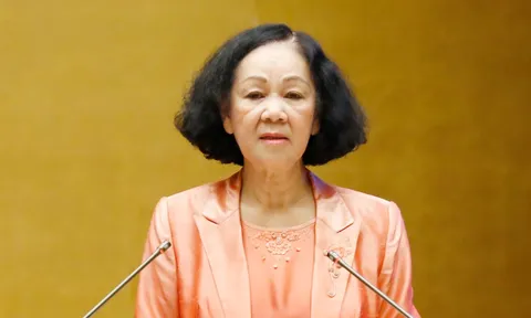 Bà Trương Thị Mai: 'Khắc phục chuyện tùy tiện, bổ nhiệm người thân, người nhà'