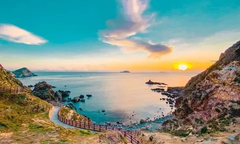 Quy Nhơn có thể trở thành điểm đến mới hàng đầu châu Á