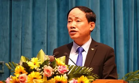 Phê chuẩn Chủ tịch UBND tỉnh Bình Định
