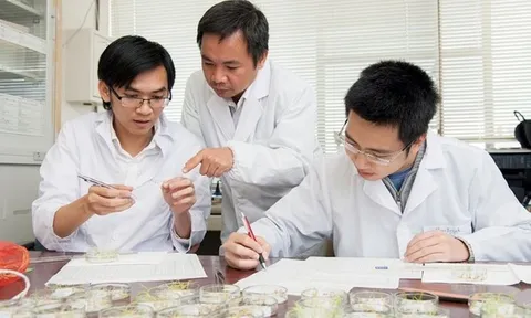Nhà khoa học Việt Nam phát minh chất chống ung thư máu từ gạo