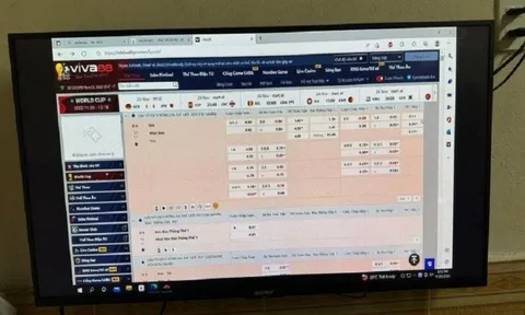 Lâm Đồng: Tạm giữ hình sự 13 người trong đường dây cá độ mùa World Cup