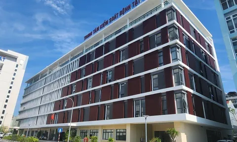 Đà Nẵng kỷ luật 5 tổ chức Đảng và nhiều cá nhân liên quan dịch COVID-19