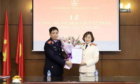 Bổ nhiệm nhân sự mới tại VKSND tối cao, Bộ Giáo dục và Đào tạo