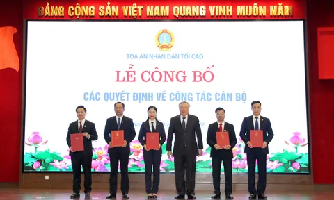 Tòa án nhân dân tối cao, Văn phòng Chính phủ bổ nhiệm nhân sự mới