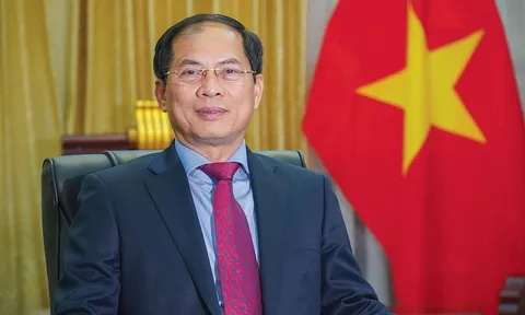 Đề nghị xem xét kỷ luật Bộ trưởng Bộ Ngoại giao Bùi Thanh Sơn
