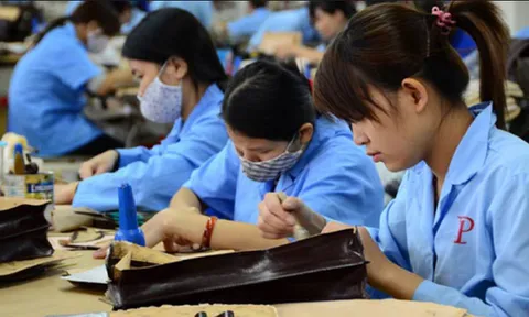 Bình Định: Tỉ lệ thất nghiệp giảm, nhiều hộ gia đình ở nông thôn đã thoát khỏi hộ nghèo