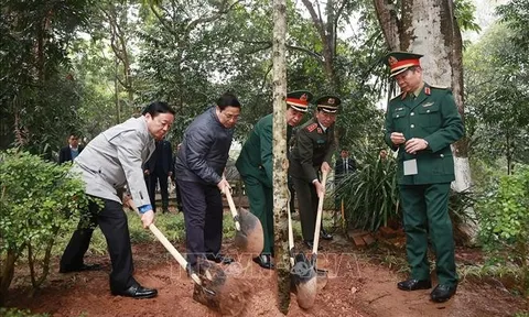 Thủ tướng Phạm Minh Chính phát động Tết trồng cây Xuân Quý Mão