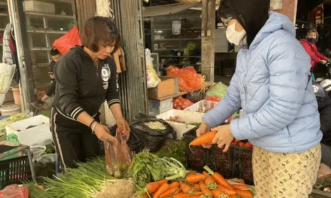 Hàng hoá sau Tết ổn định, rau xanh hạ nhiệt, tôm, cá tăng giá