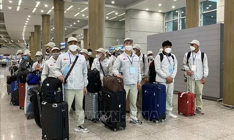 Triển khai hoạt động tư vấn hỗ trợ lao động Việt Nam tại Hàn Quốc năm 2023