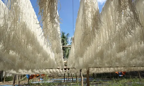 Người thanh niên muốn đưa miến dong xuất khẩu ra nước ngoài