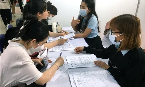TP Hồ Chí Minh: Nhu cầu tuyển dụng lao động gia tăng sau Tết