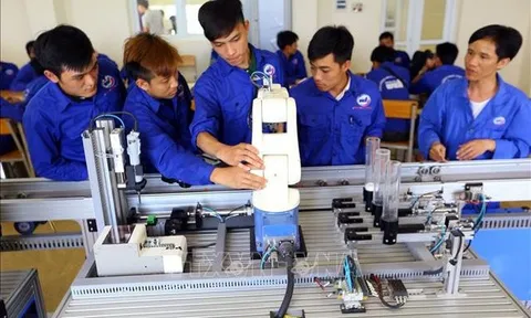Phê duyệt Quy hoạch mạng lưới cơ sở giáo dục nghề nghiệp