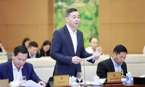 Xem xét mở rộng đối tượng của Pháp lệnh Xử phạt vi phạm hành chính trong lĩnh vực kiểm toán nhà nước