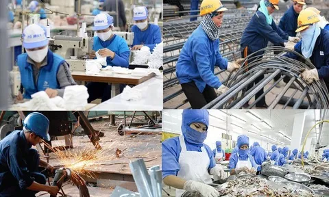 Luật Việc làm sửa đổi mở ra nhiều cơ hội tới người lao động